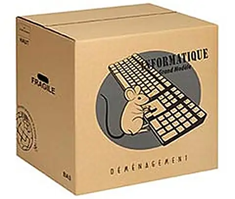 Carton déménagement informatique